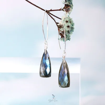 Teardrop diamond cut Labradorite dangle drop earrings — product image 1